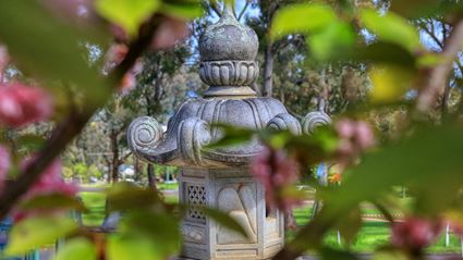 Japanese Garden - Cowra 